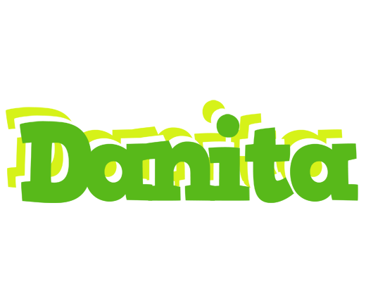 Danita picnic logo