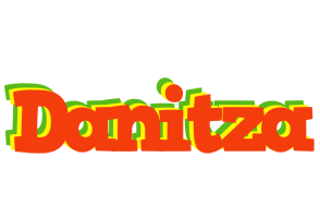 Danitza bbq logo