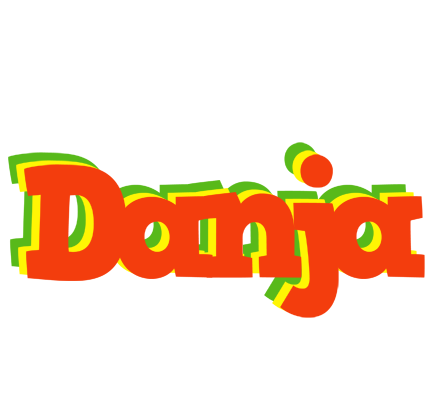 Danja bbq logo