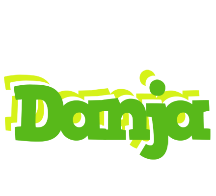 Danja picnic logo