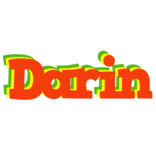 Darin bbq logo