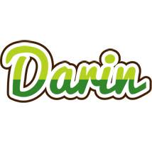 Darin golfing logo