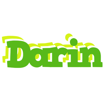 Darin picnic logo