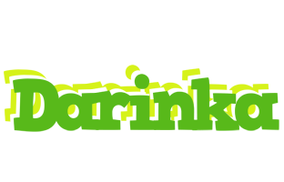 Darinka picnic logo
