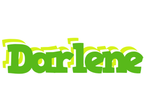 Darlene picnic logo