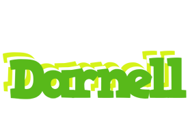 Darnell picnic logo