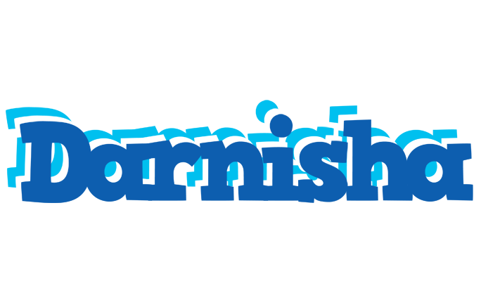 Darnisha business logo