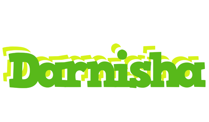 Darnisha picnic logo