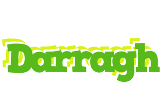 Darragh picnic logo