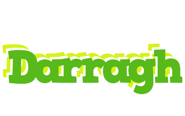 Darragh picnic logo