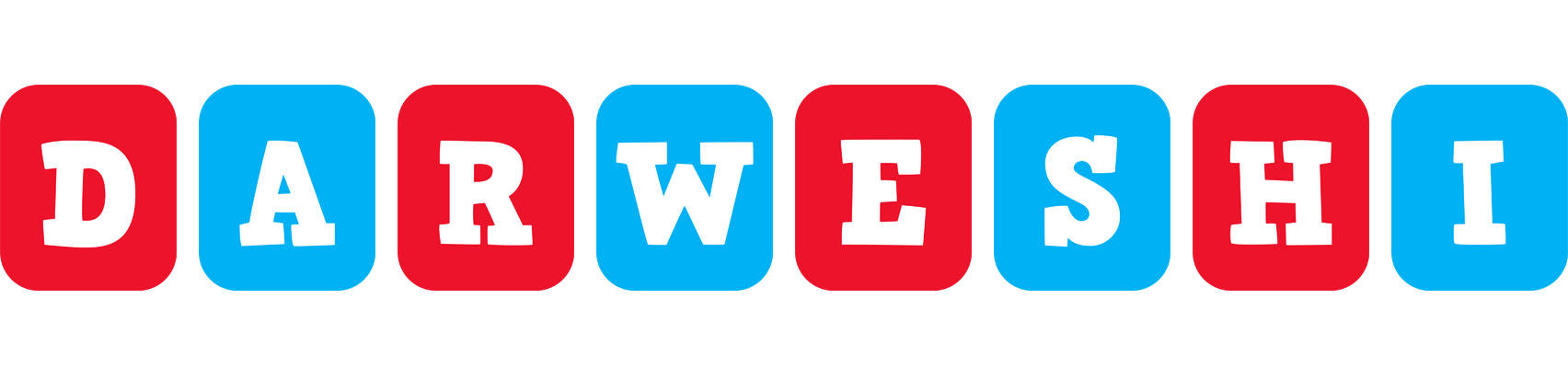 Darweshi diesel logo