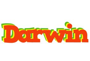 Darwin bbq logo