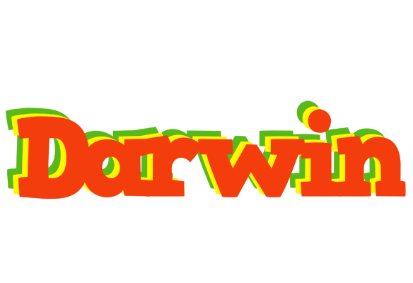 Darwin bbq logo