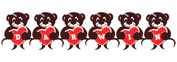 Darwin bear logo