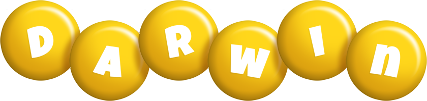 Darwin candy-yellow logo