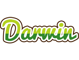 Darwin golfing logo