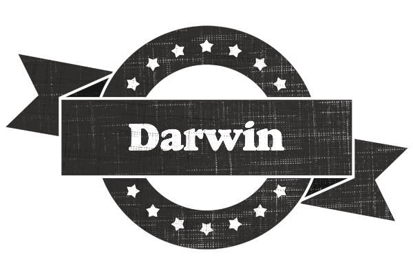 Darwin grunge logo