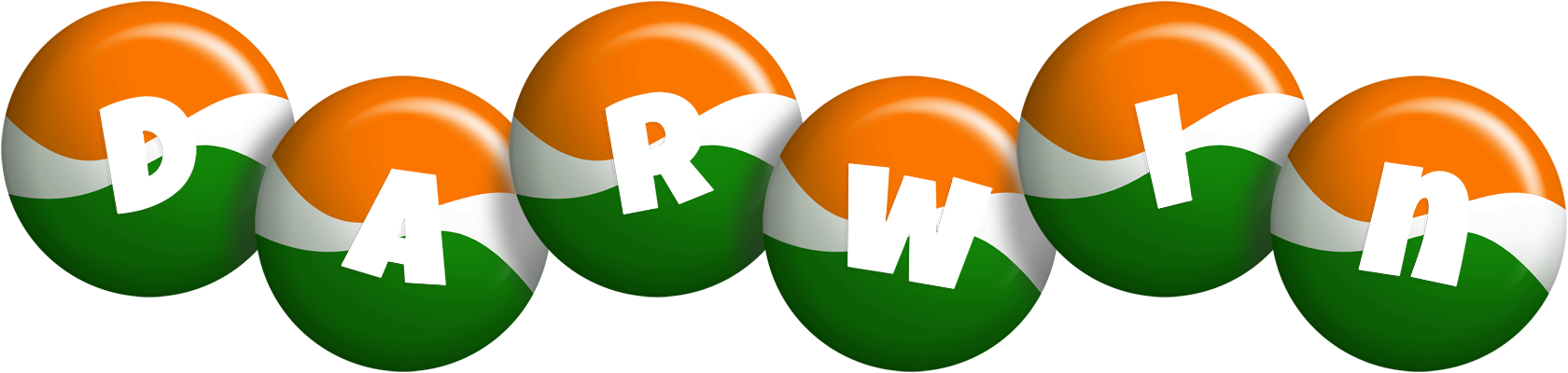 Darwin india logo