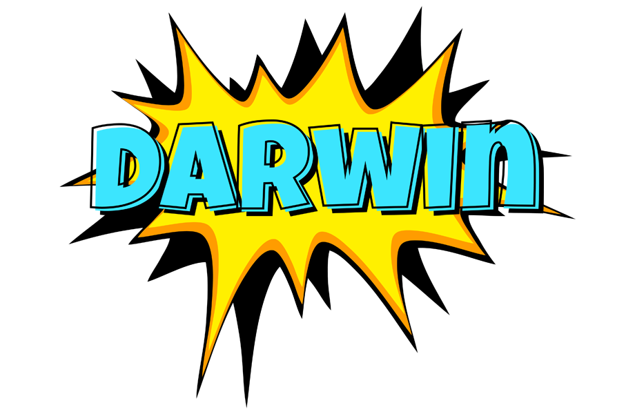 Darwin indycar logo