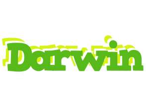 Darwin picnic logo