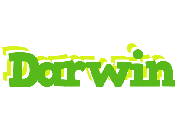 Darwin picnic logo