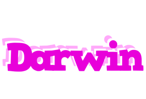 Darwin rumba logo