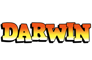 Darwin sunset logo