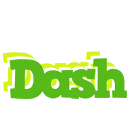 Dash picnic logo