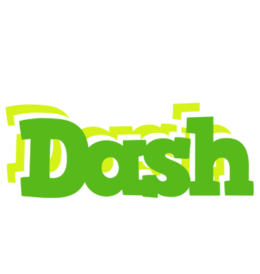 Dash picnic logo