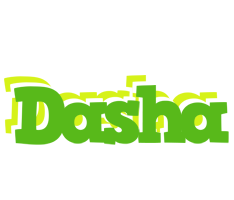 Dasha picnic logo