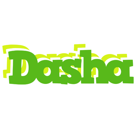Dasha picnic logo