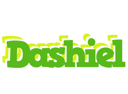 Dashiel picnic logo