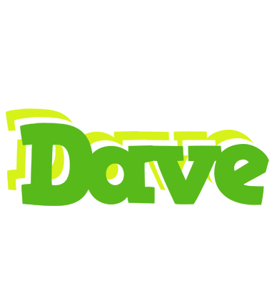 Dave picnic logo
