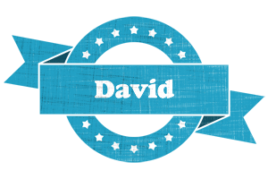 David balance logo