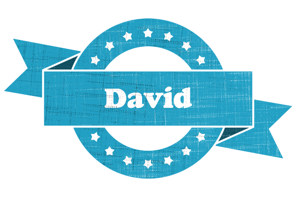 David balance logo
