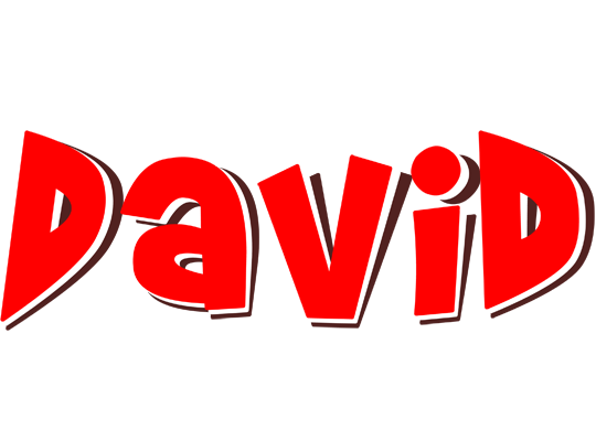 David basket logo