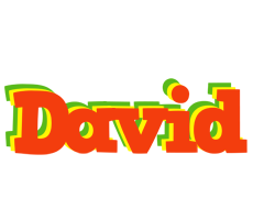 David bbq logo