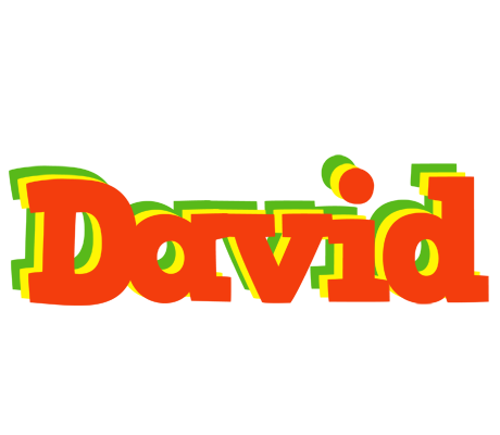 David bbq logo