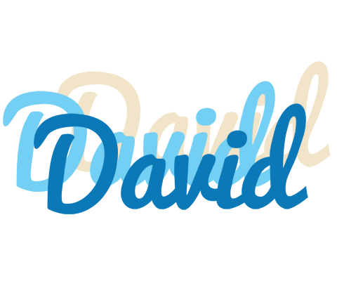 David breeze logo