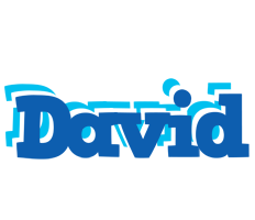 David business logo