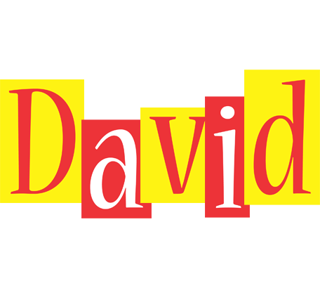 David errors logo