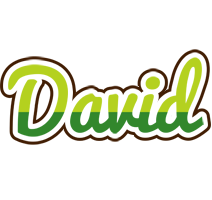 David golfing logo