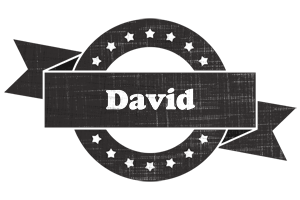 David grunge logo