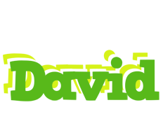 David picnic logo