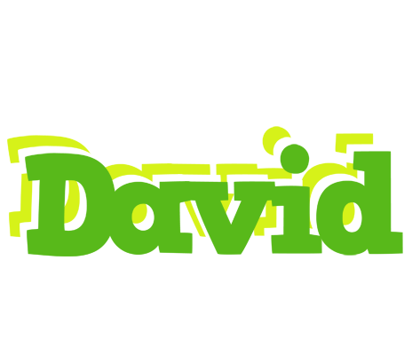 David picnic logo