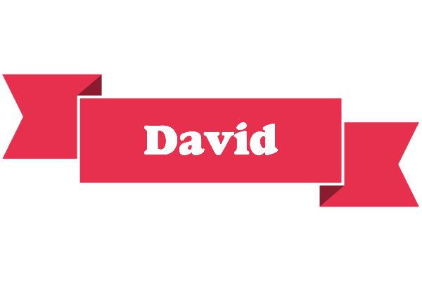 David sale logo