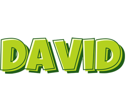 David summer logo