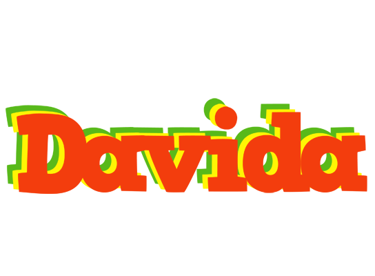 Davida bbq logo
