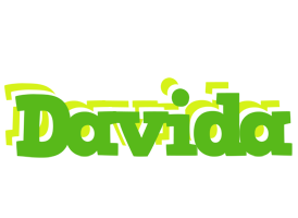 Davida picnic logo