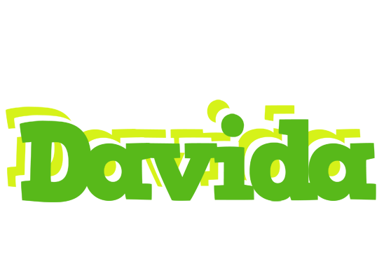 Davida picnic logo